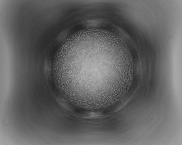 X0000116100737200911231125