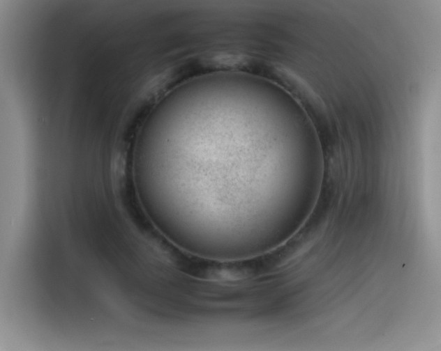 X0000116100739200911231125