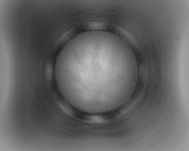 X0000116100741200911231125