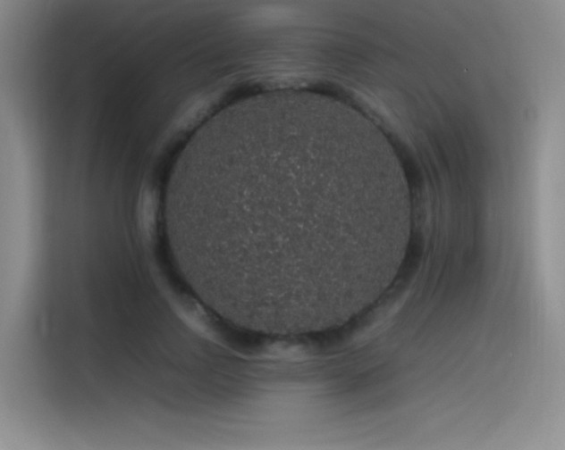X0000116100742200911231125