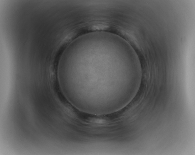 X0000116100743200911231125