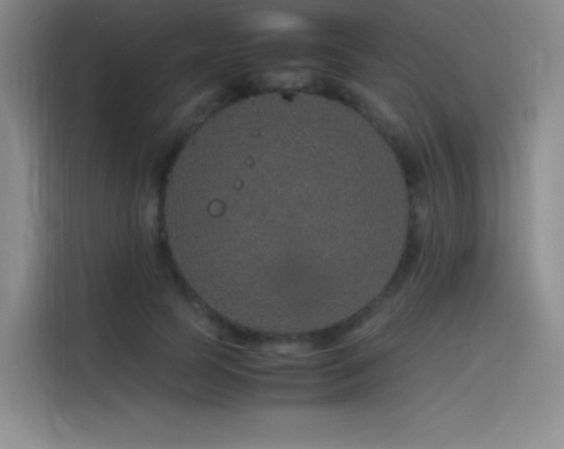 X0000116100745200911231125