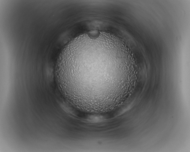X0000116100749200911231125