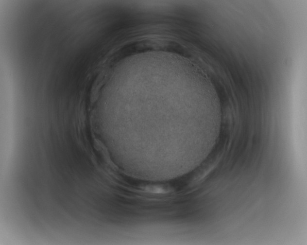 X0000116100751200911231125