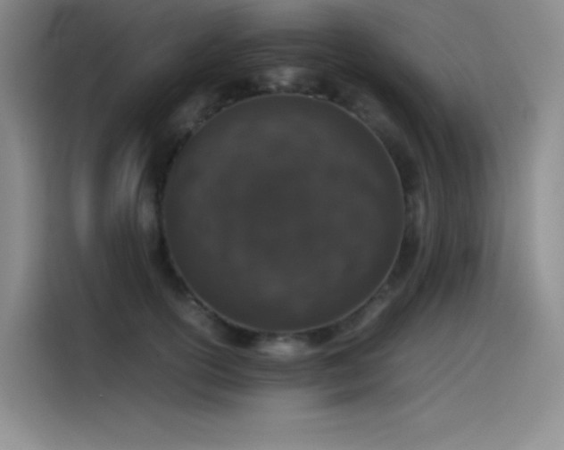 X0000116100754200911231125