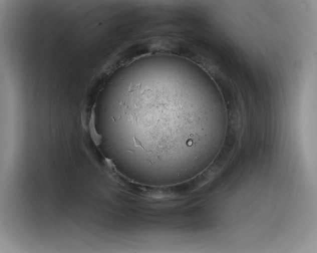 X0000116100755200911231125