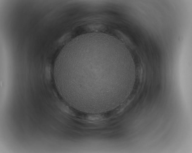 X0000116100757200911231125