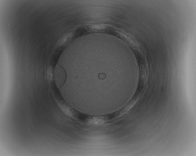 X0000116100758200911231125