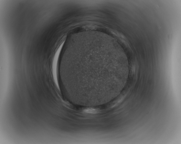 X0000116100759200911231125
