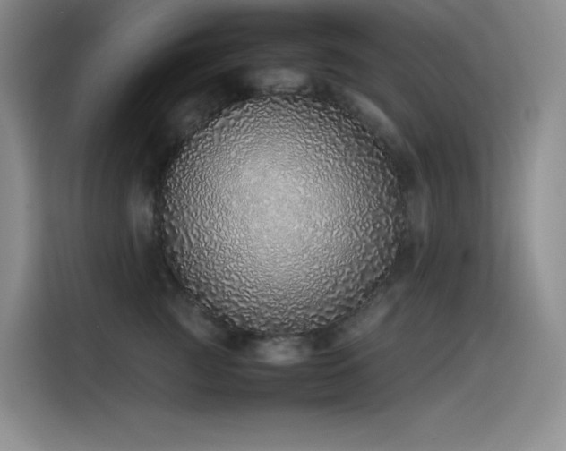 X0000116100761200911231125