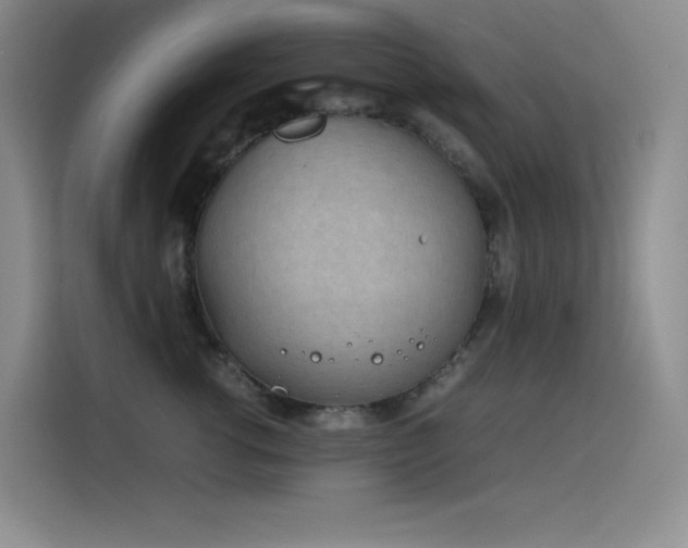 X0000116100762200911231125