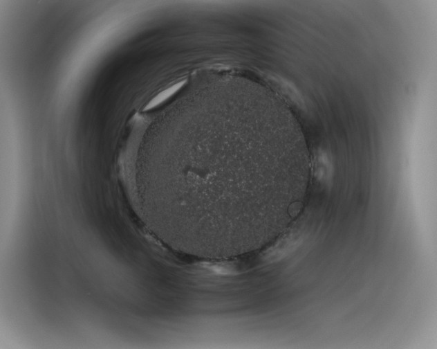 X0000116100763200911231125