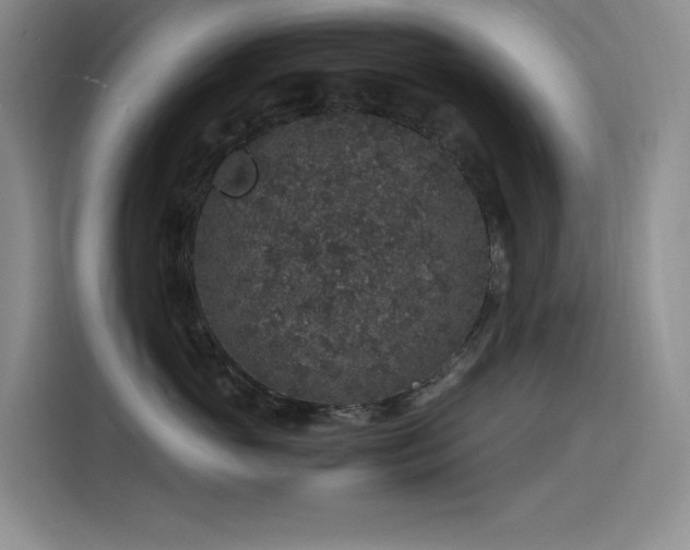 X0000116100765200911231125