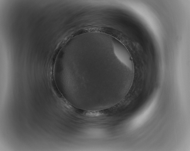X0000116100767200911231125