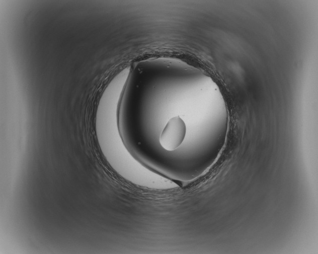 X0000116100769200911231125