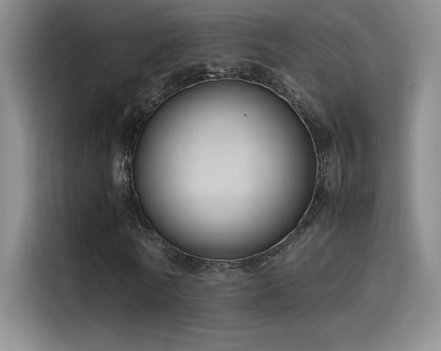 X0000116100770200911231125