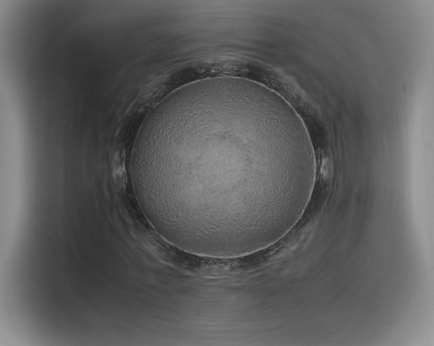 X0000116100771200911231125