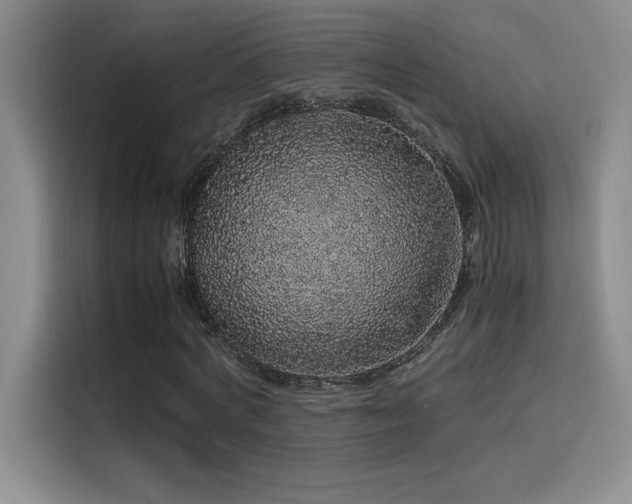 X0000116100772200911231125
