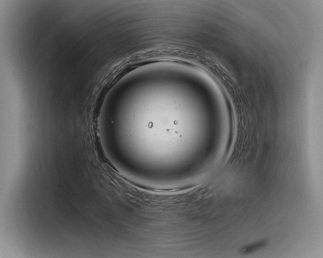 X0000116100773200911231125