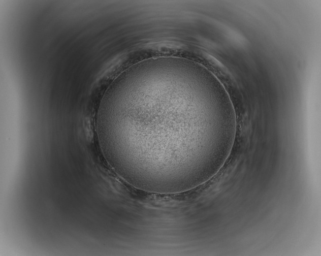 X0000116100774200911231125