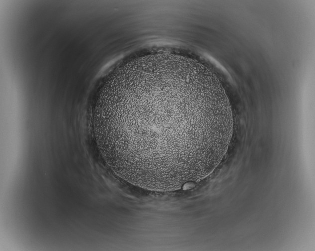 X0000116100775200911231125