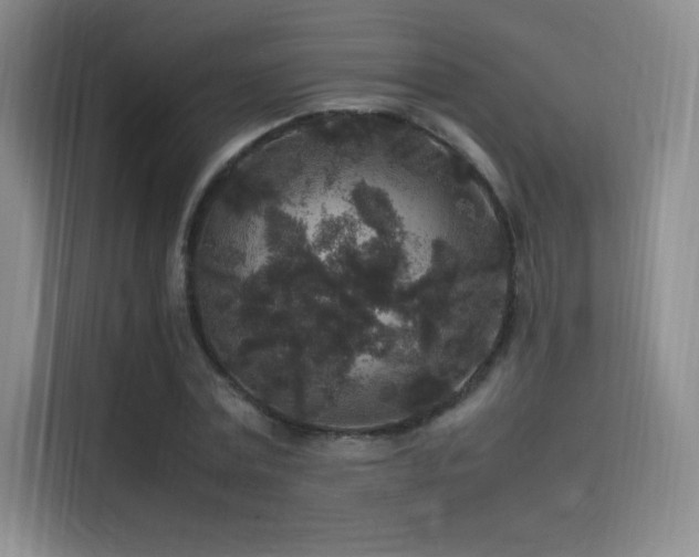 X0000116100779200911231125