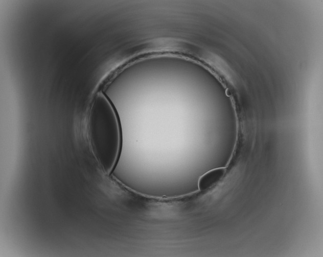 X0000116100781200911231124