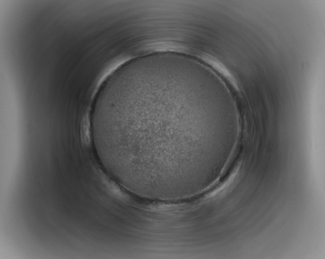 X0000116100782200911231124