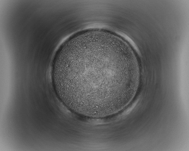 X0000116100783200911231124