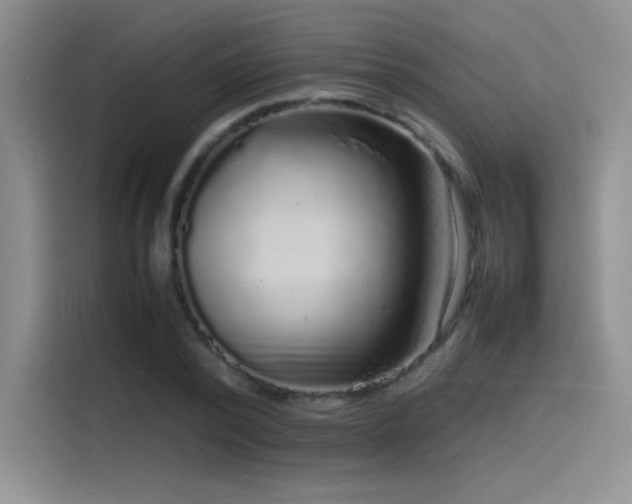 X0000116100784200911231124