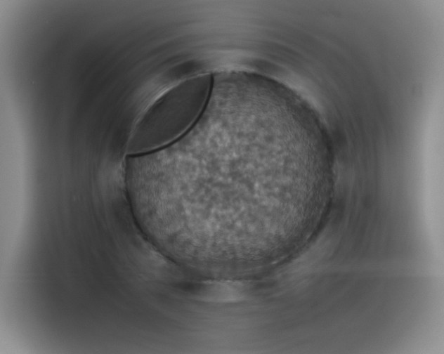 X0000116100785200911231124