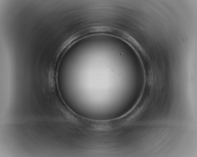 X0000116100786200911231124
