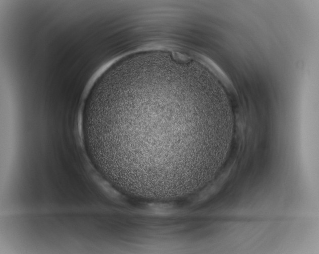 X0000116100788200911231124