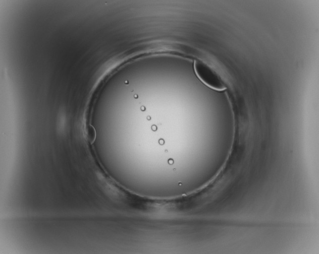 X0000116100789200911231124