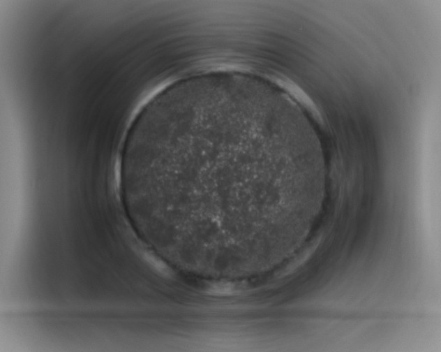 X0000116100790200911231124