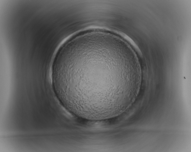 X0000116100791200911231124
