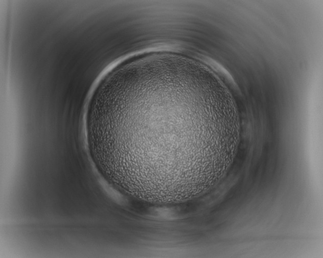 X0000116100792200911231124
