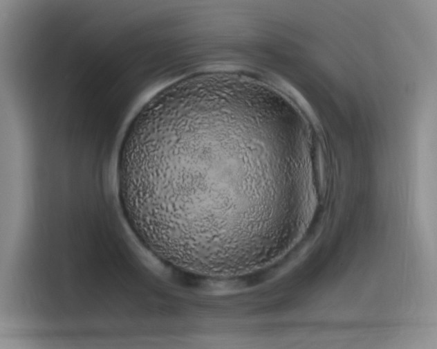 X0000116100795200911231124