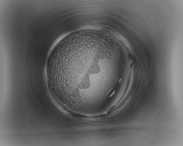 X0000116100796200911231124