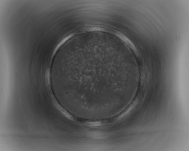 X0000116100798200911231124