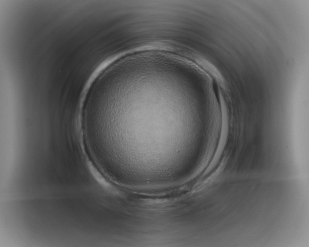 X0000116100800200911231124