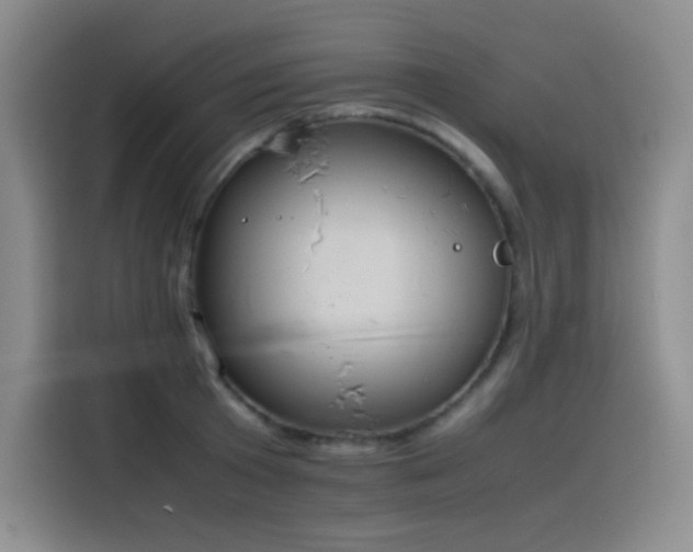 X0000116100801200911231124