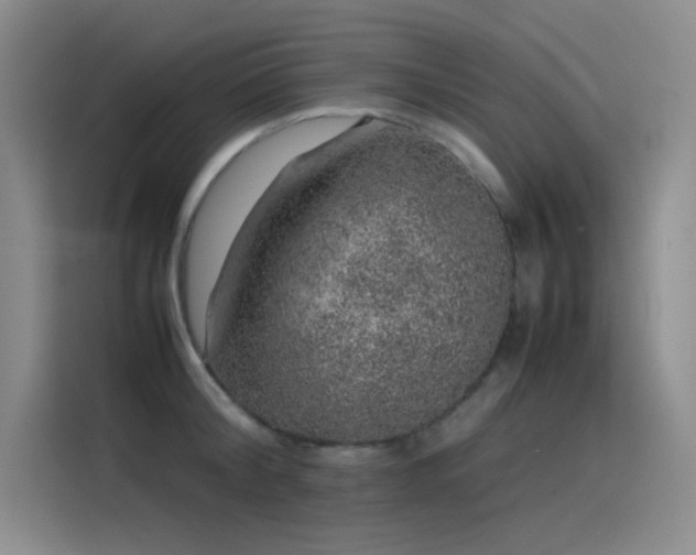 X0000116100804200911231124