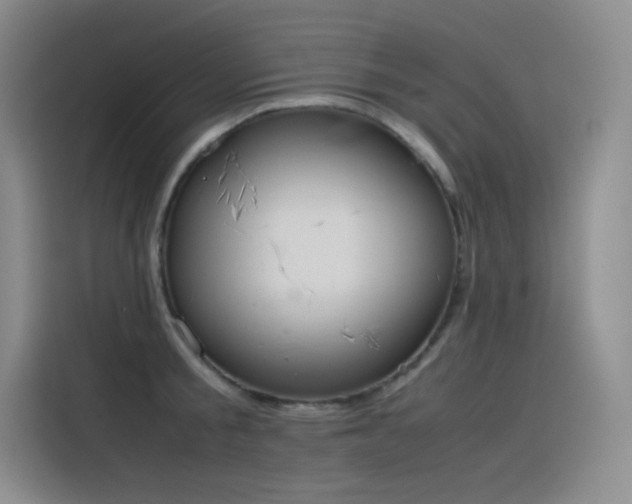 X0000116100805200911231124