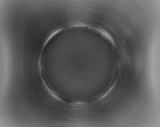 X0000116100806200911231124