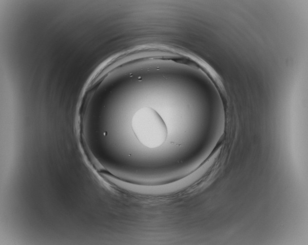 X0000116100807200911231124