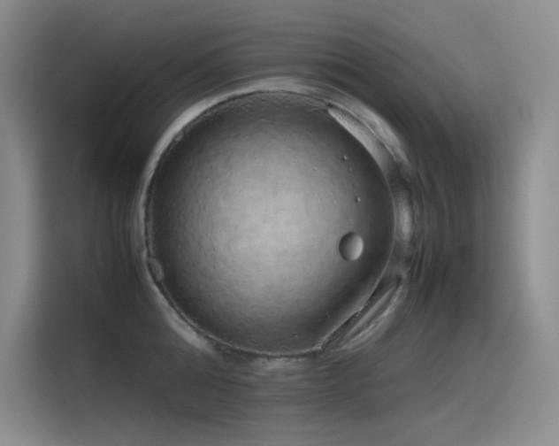 X0000116100808200911231124