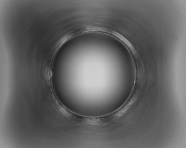 X0000116100809200911231124