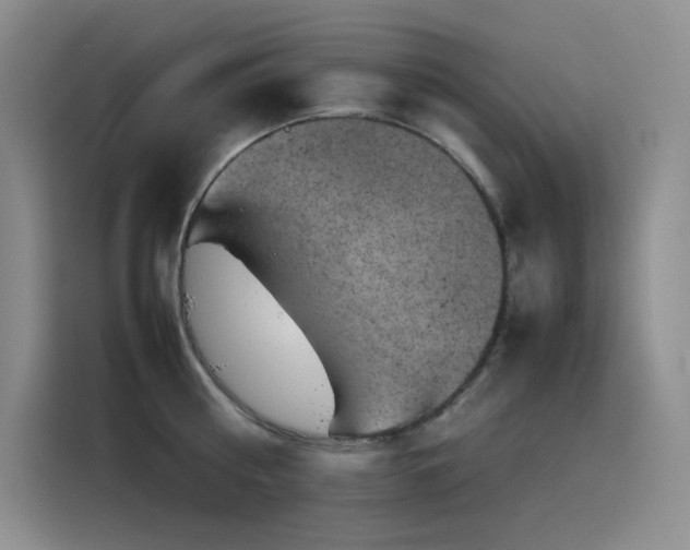 X0000116100810200911231124