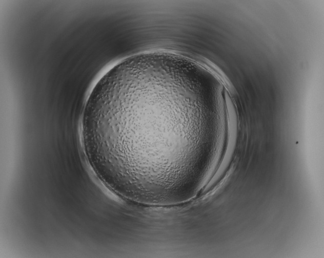 X0000116100812200911231124